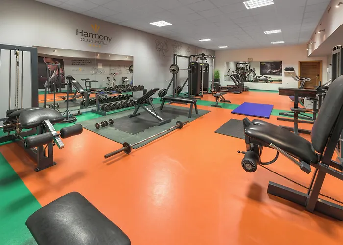 Harmony 4* Szpindlerowy Młyn